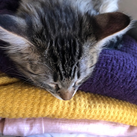 Meet your Posher, Beth - Picture 1 of 1